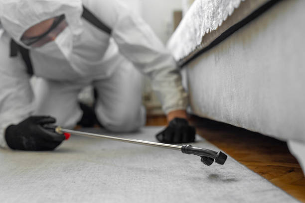 Professional Bed Bug Control technician working in Tyndall, SD