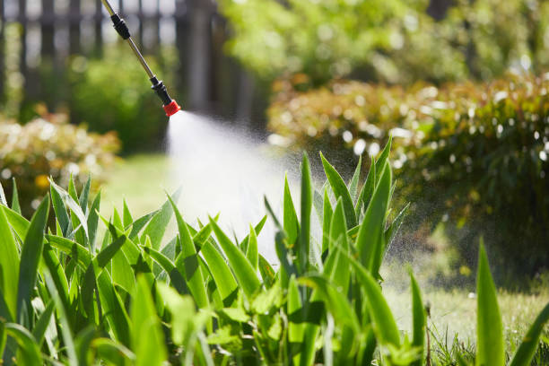 24/7 Emergency Bed Bug Control experts in Tyndall, SD